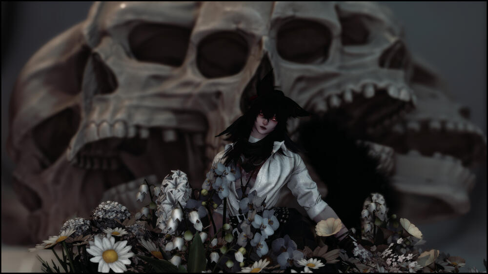 — Memento mori. ❞